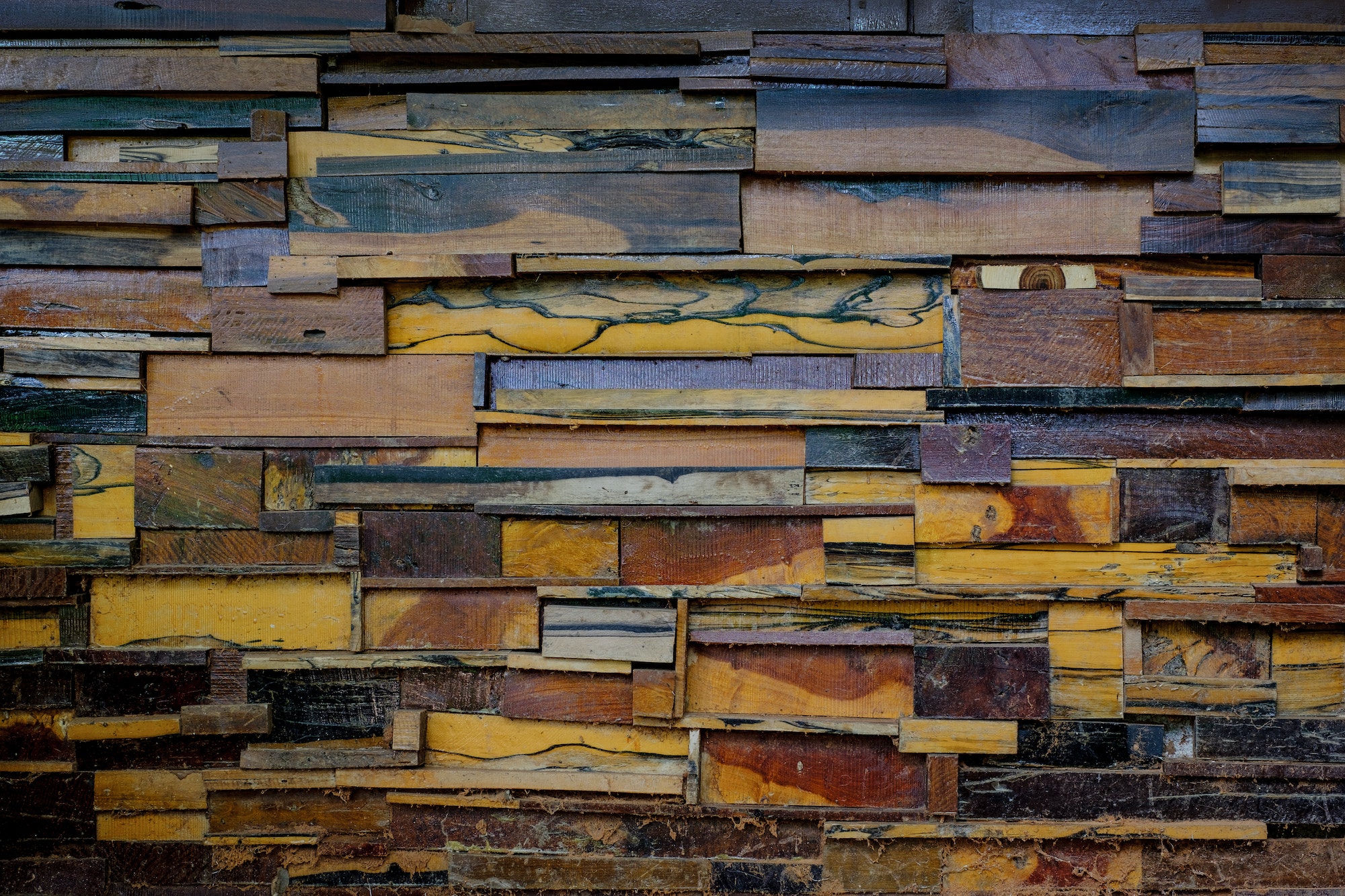 The Fundamentals Of Wood Selection: Choosing The Right Wood For Your Project